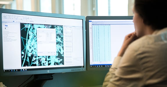 GIS- och fjärranalys karta - webb