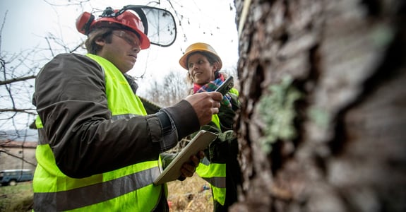 Metria Markkoll creates a whole new life for everyone who works with forest valuation. 