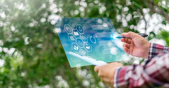 News: Metria Forest Report - forest information for valuation, planning or purchase