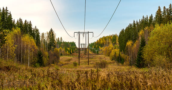 Metria Markkoll - for those who work with valuation according to the 2018 forest standard