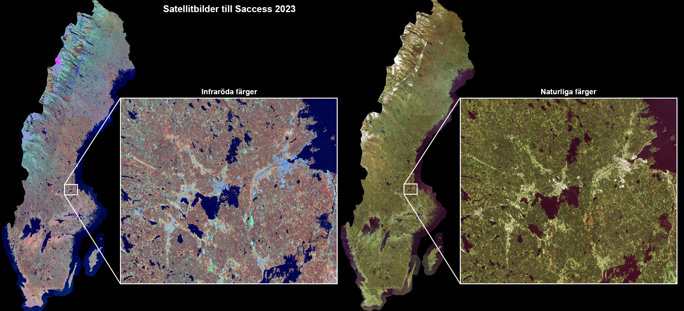 Saccess_2023_landscape_text