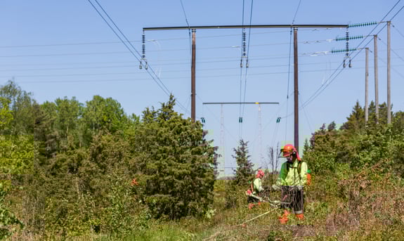 Svenska kraftnät streamlines land management with digital tool