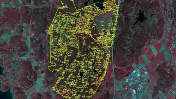 Natura Naturtypskartan - den faktiska utbredningen av Sveriges naturtyper