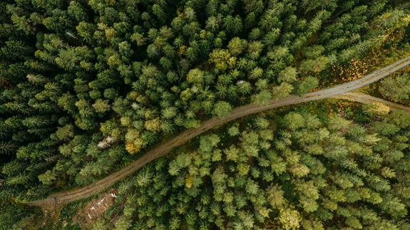 Geodata provides increased knowledge for sustainable forestry