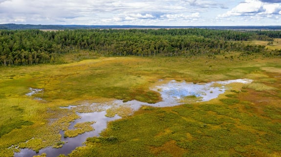 Geodatastöd vid regeringsuppdrag avseende återvätning av våtmarker