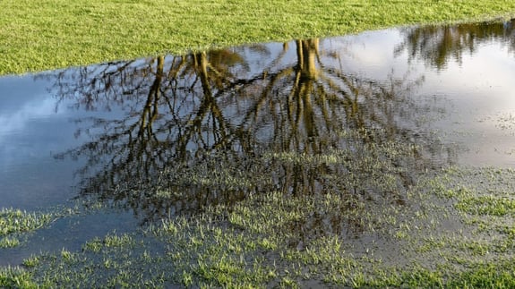 Leaks in the water and sewerage network are identified using satellite images